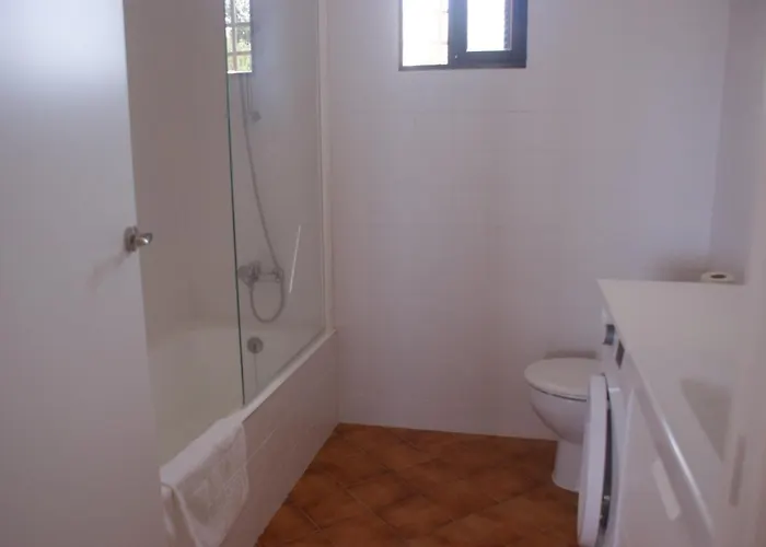 Camelias 13 * Son Bou